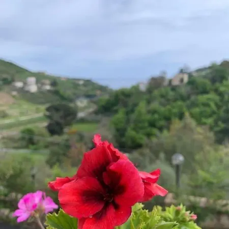 Σπίτι διακοπών Collina Da Amare Cilento