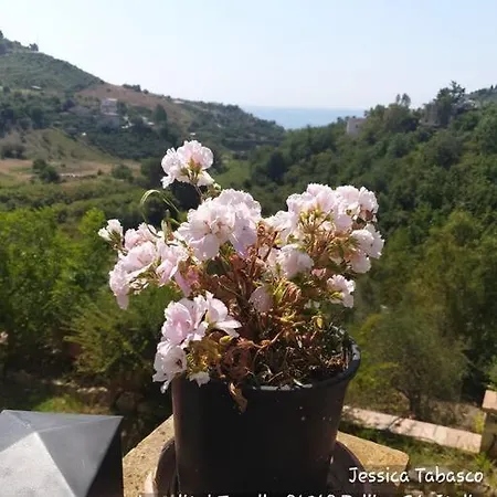 Collina Da Amare Cilento