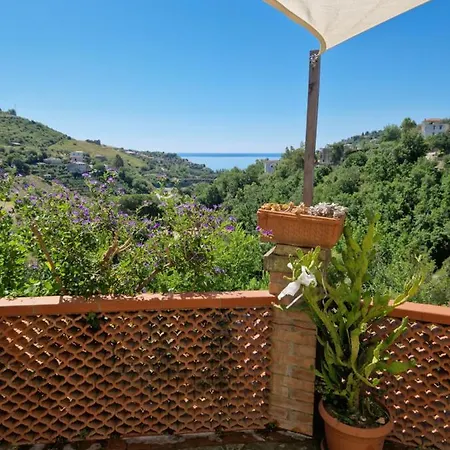 Collina Da Amare Cilento *