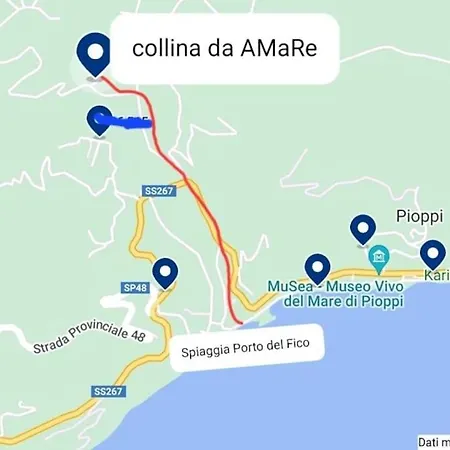 Collina Da Amare Cilento 펜션 *